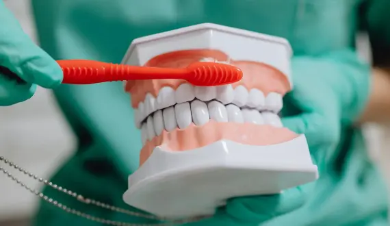 dental-image-picture-three.webp